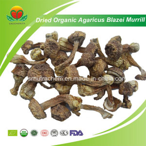 Manufacturer Supplier Dried Organic Agaricus Blazei Murrill