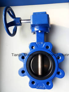 Cast/Ductile Iron Lug Type Butterfly Valve with Turbine Gear